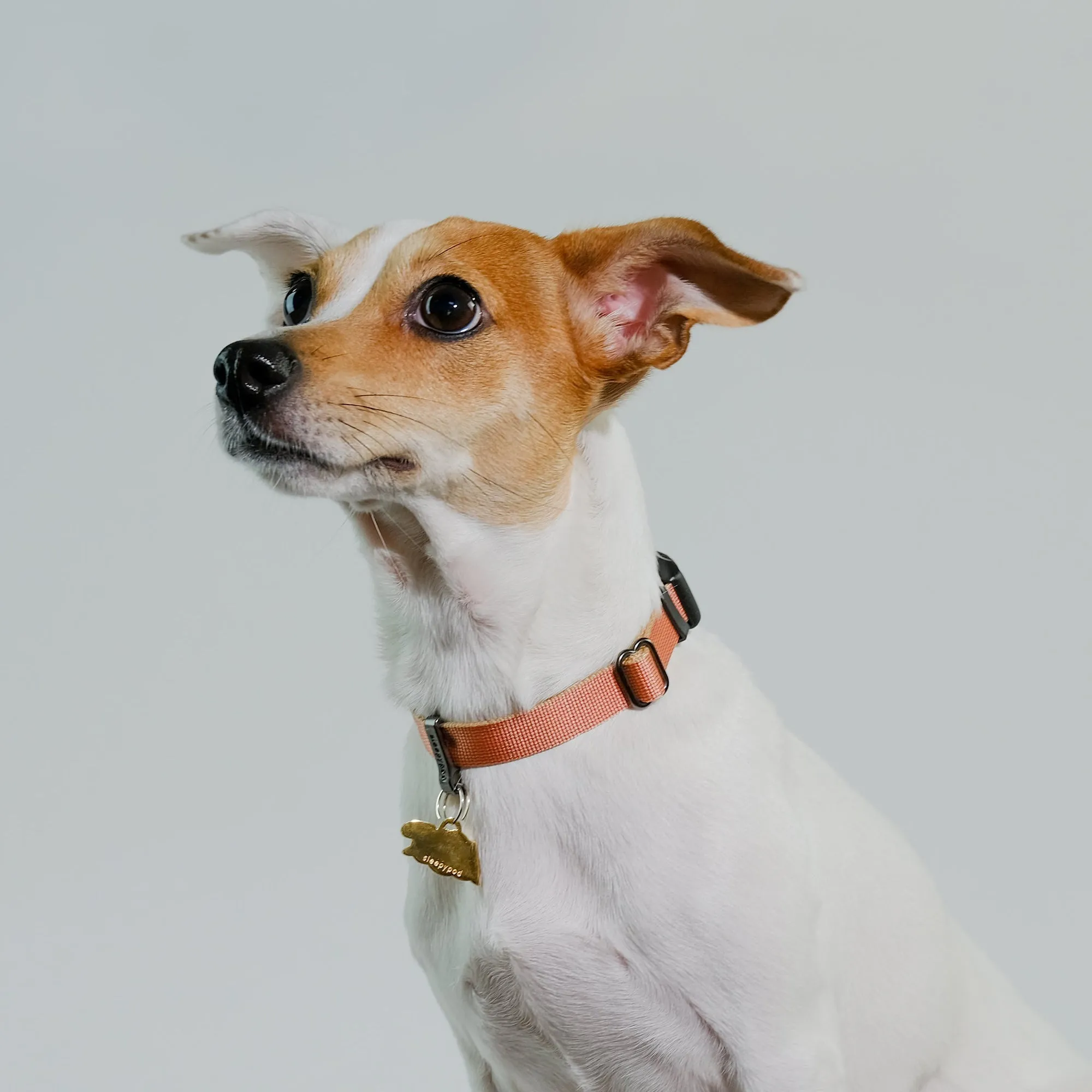 Sleepypod Locking Martingale Collar