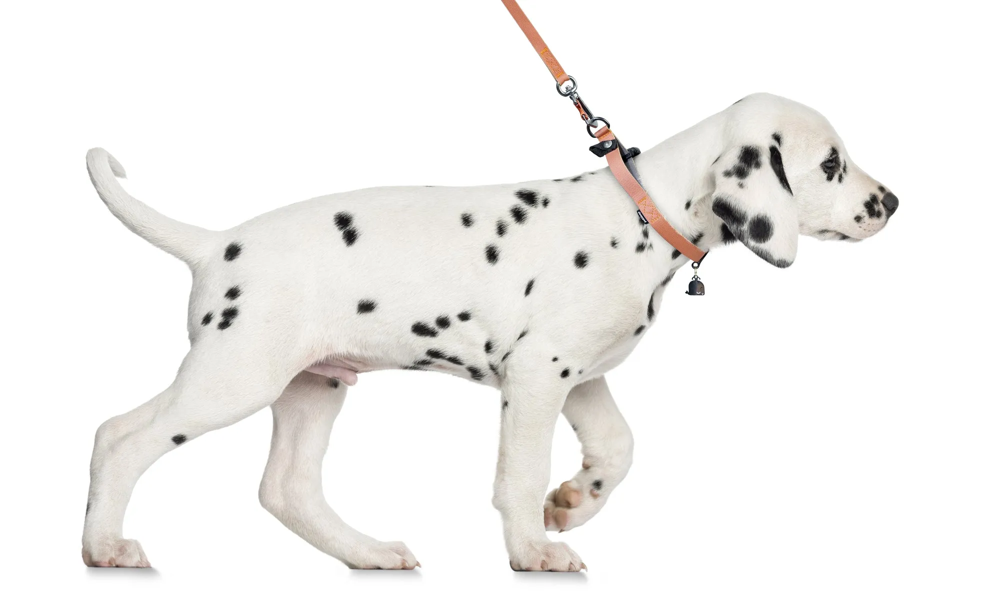 Sleepypod Locking Martingale Collar